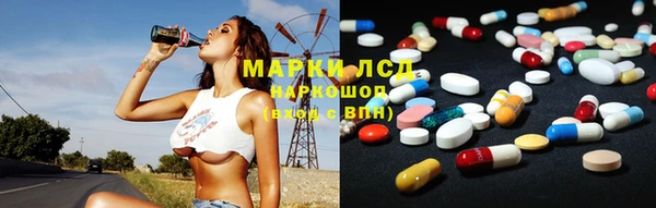 винт Лагань